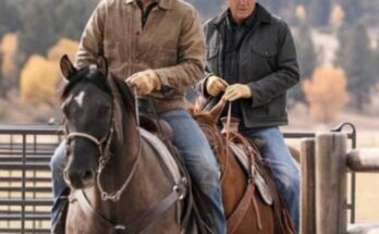 yellowstone tv series (8)