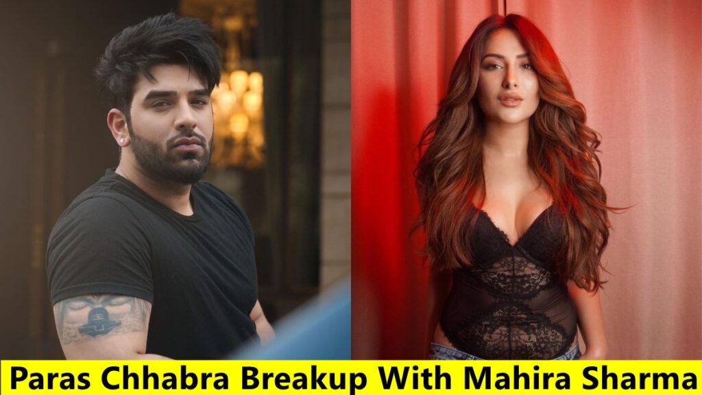 Paras Chhabra Breakup With Mahira Sharma
